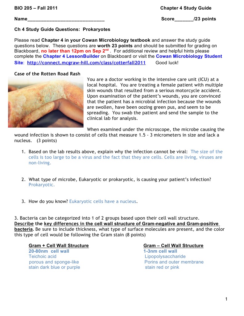 Prokaryotic Infections Study Guide | PDF | Biofilm | Bacteria
