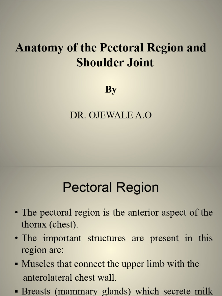 Anatomy of The Shoulder Joint 1 (Class) | PDF