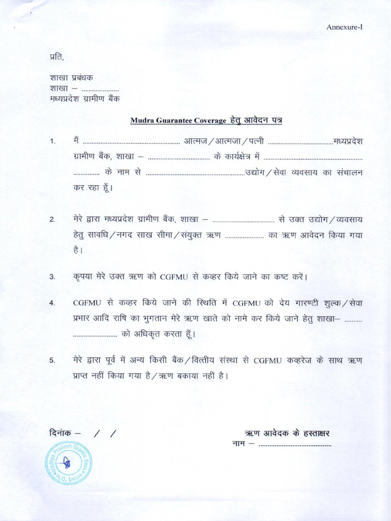 CGFMU Declaration From Borrower | PDF