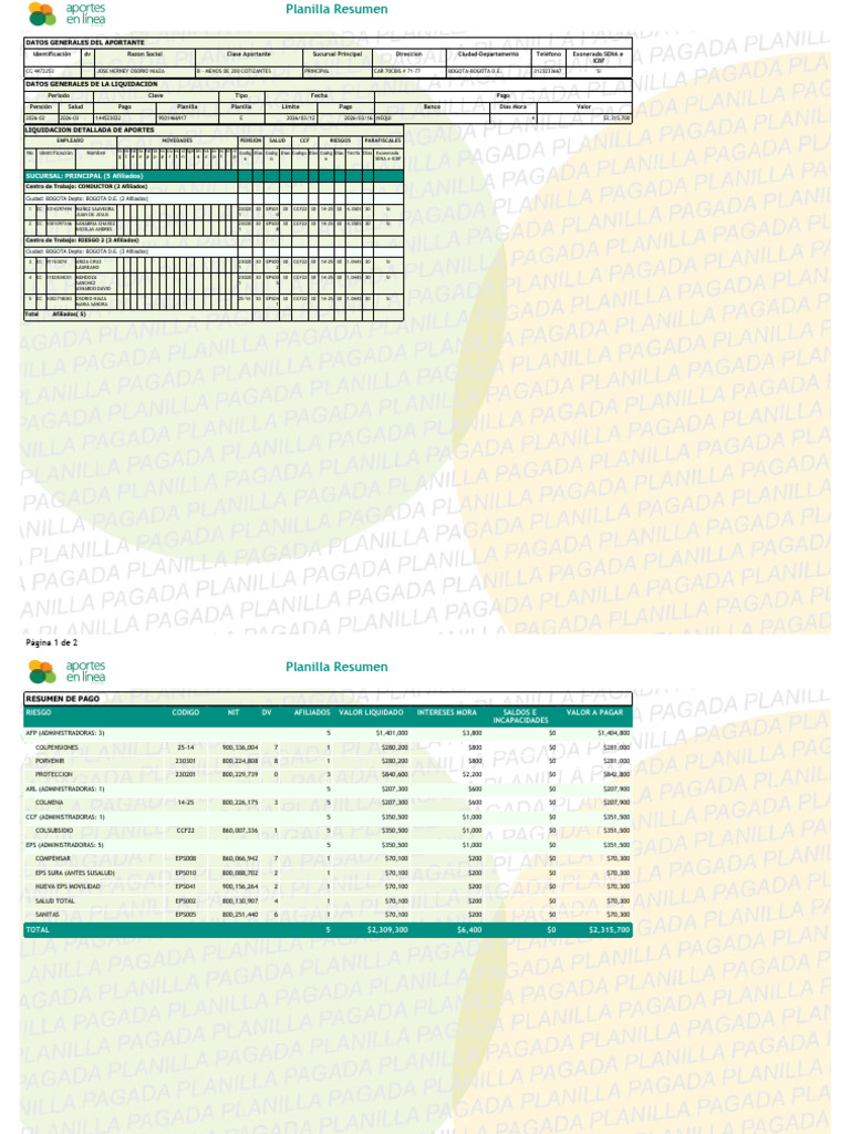 PLANILLA RESUMEN | PDF