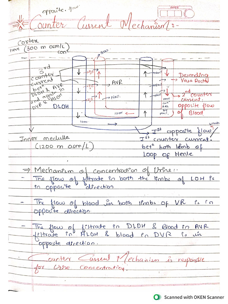 Counter Current | PDF