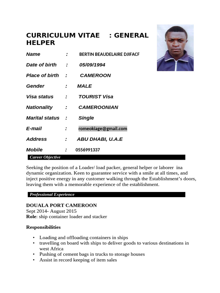 BERTIN General Helper CV | PDF