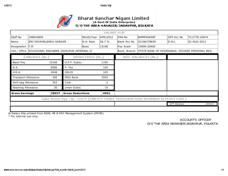 Salary Slip Government Finances Taxes