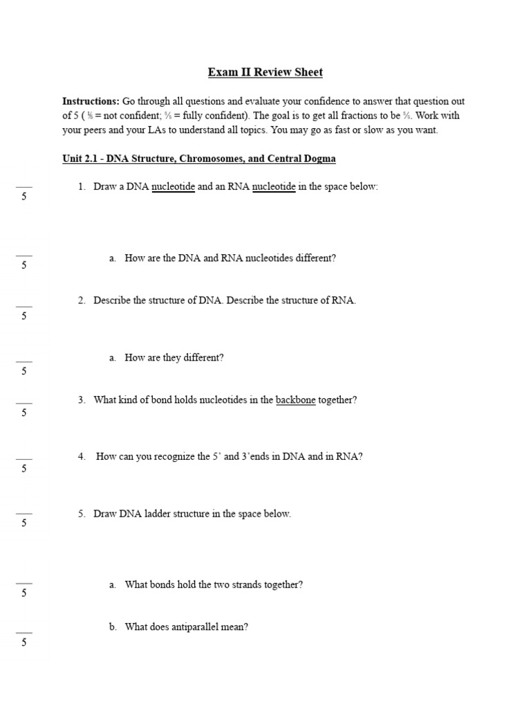 Exam 2 Review Sheet (REVISED 2025) | PDF | Dna | Translation (Biology)