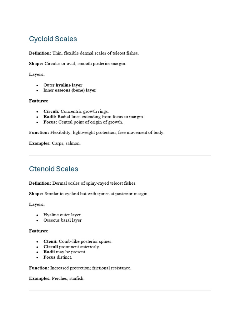 Scales | PDF