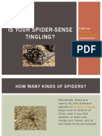 Is Your Spider-Sense Tingling - Fighting Common Florida Spider Infestations