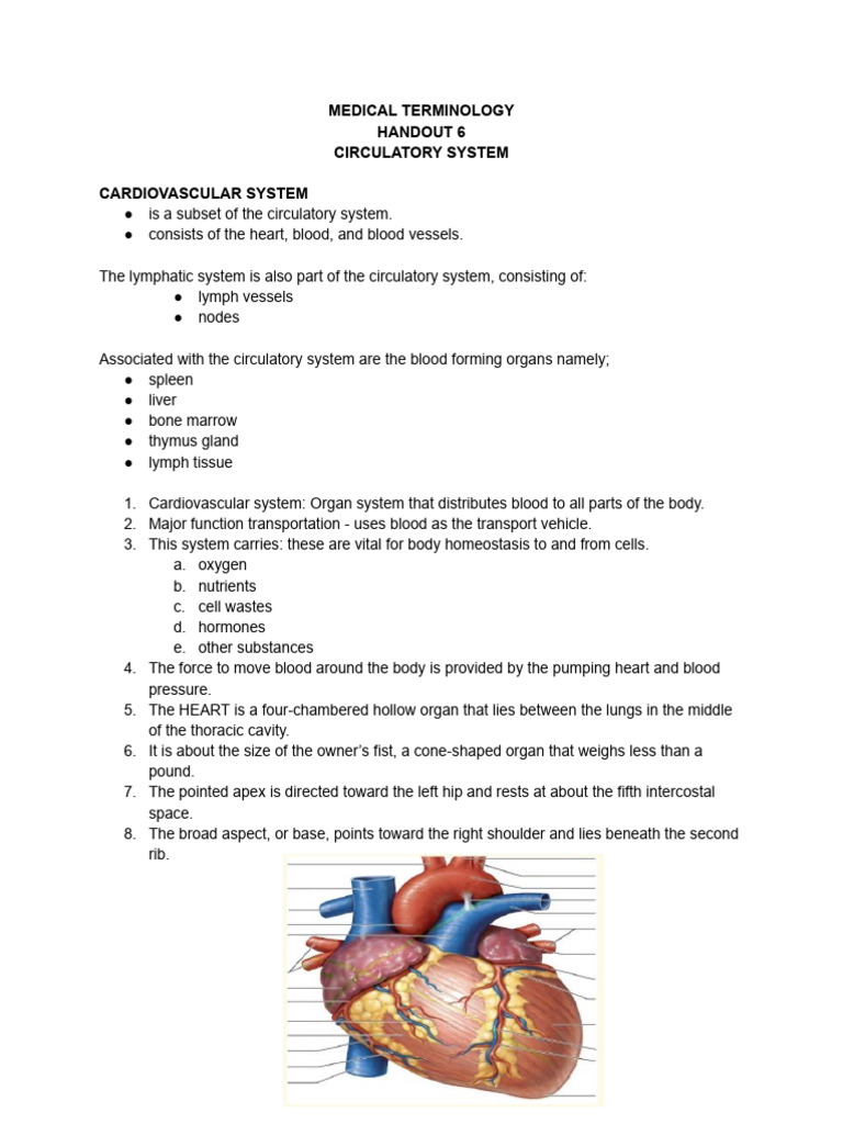 Medterm Handout 6 Ccsys | PDF | Heart | White Blood Cell