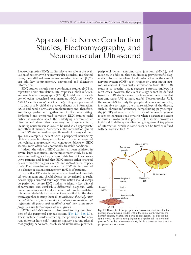 Ch1 Approach To Nerve Conduction Studies, Electromyography, and ...