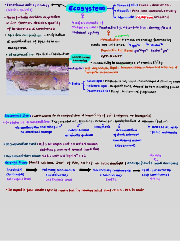 Ecosystem | PDF