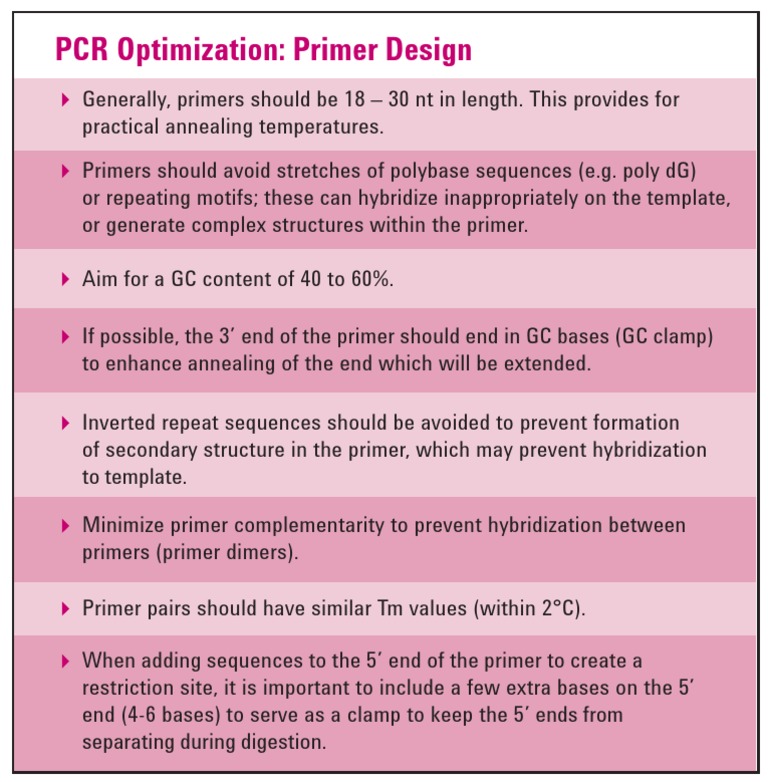 PCR Primer Design Guidelines | PDF