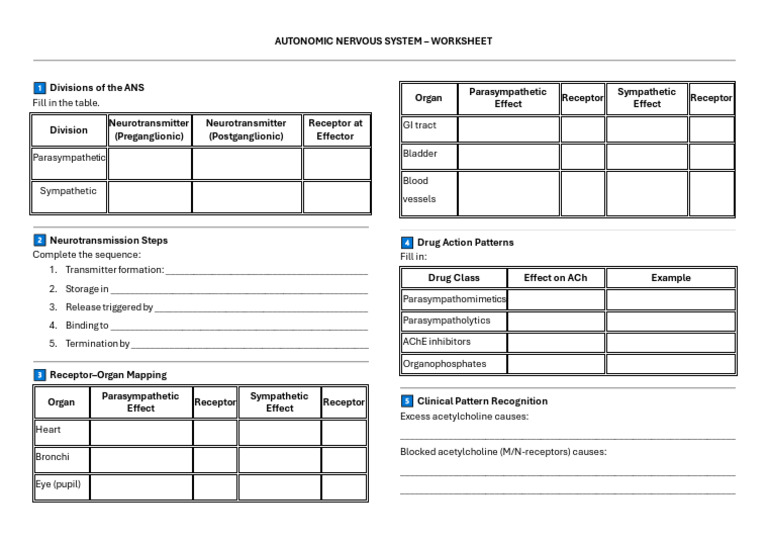 3.1+Lecture+Worksheet 2 | PDF | Acetylcholine | Vasodilation