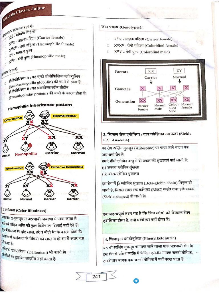BK Pathak LDC Book Part 3 | PDF