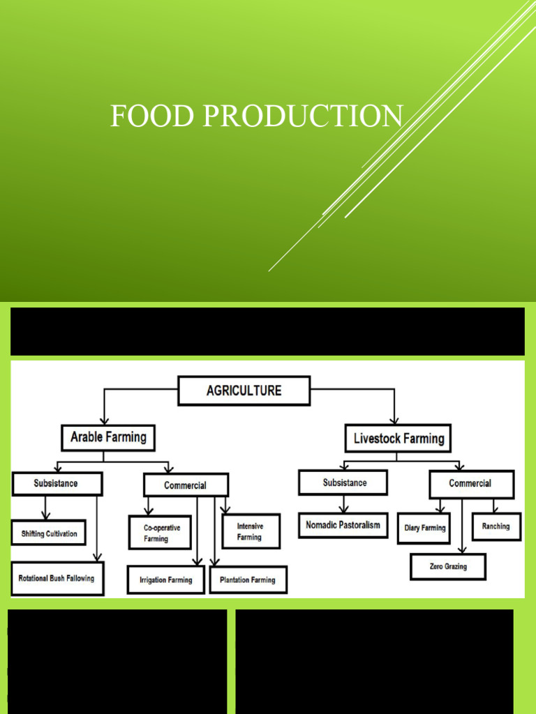 Food Production Part 1 | PDF | Agriculture | Irrigation