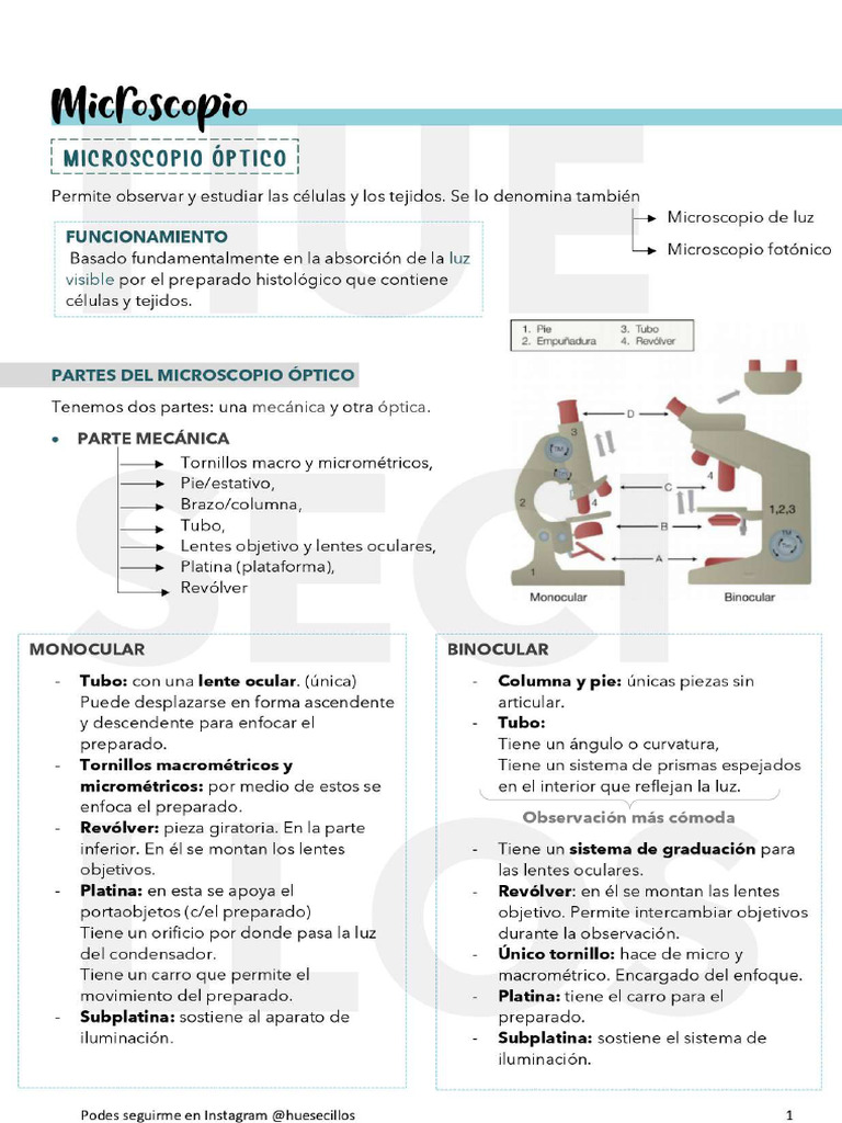 Microscopio Óptico-1 | PDF