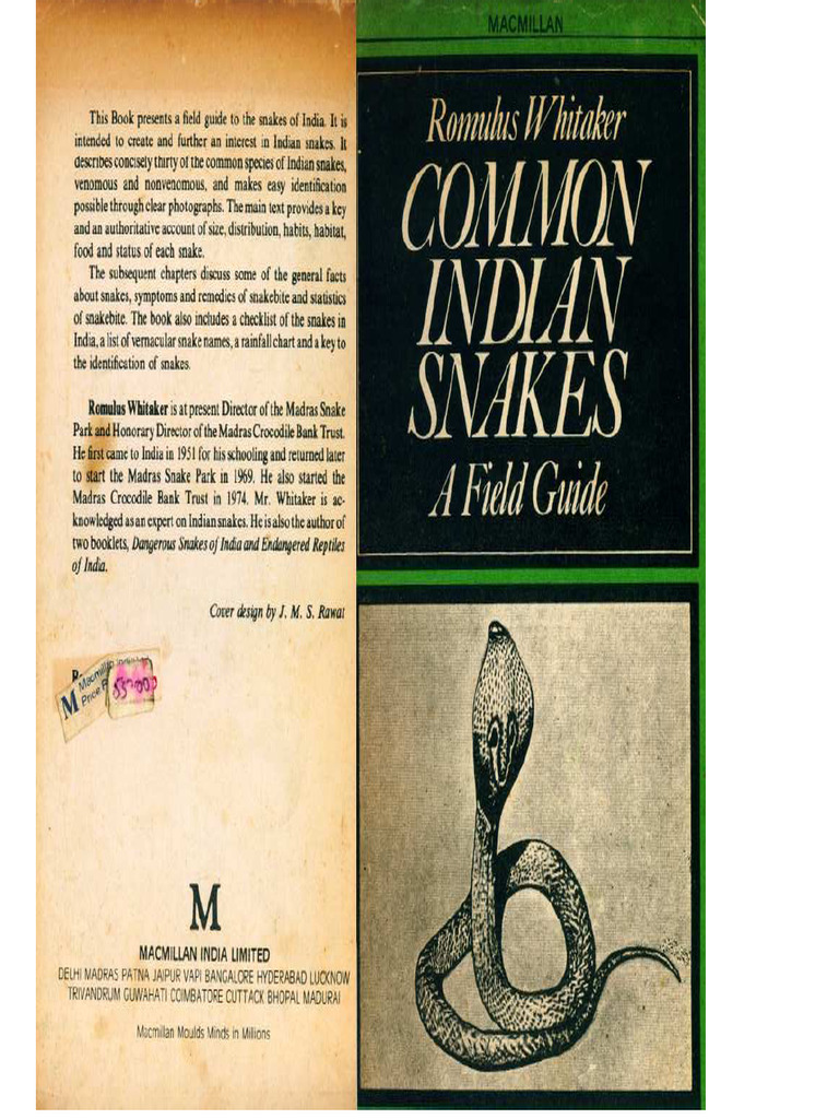 Snakes Romulus | PDF
