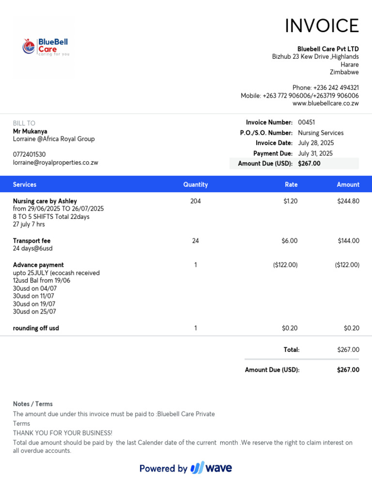 Invoice 00451 2025-07-31 | PDF | Services (Economics) | Money