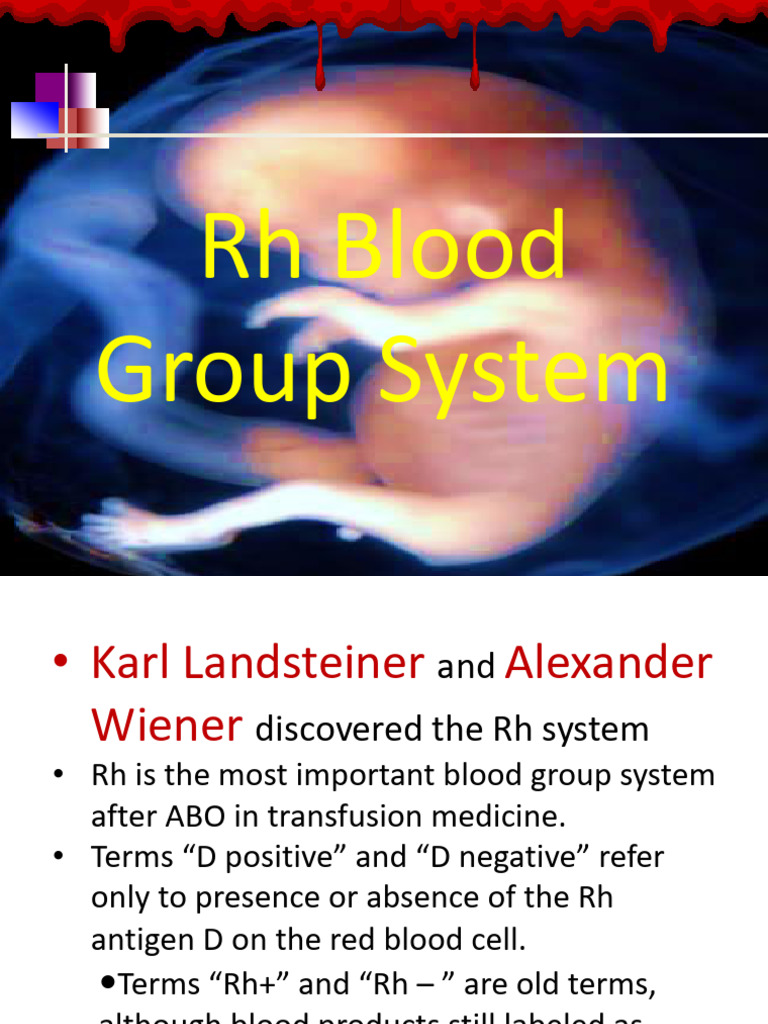 RH Blood Group System | PDF | Blood Type | Clinical Medicine