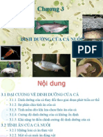 Bài giảng dinh dưỡng cho cá nuôi