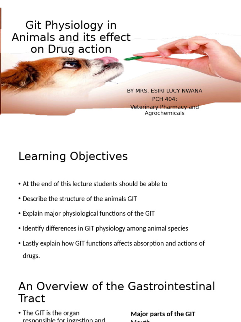 Git Physiology in Animals and Its Effect On | PDF | Gastrointestinal ...