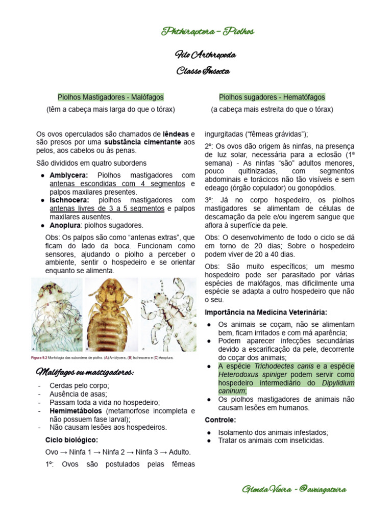 Parasitologia 5 - Phthiraptera - Piolhos | PDF | Zoologia