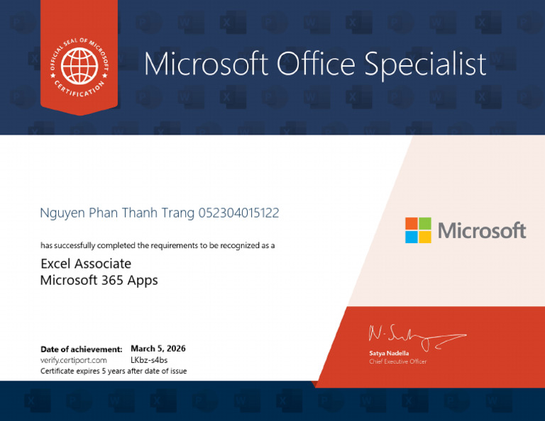 Excel Associate | PDF