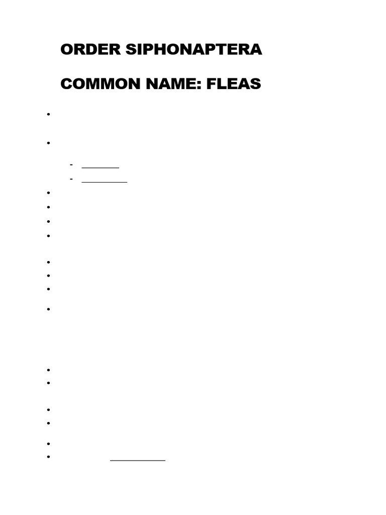 Fleas | PDF | Zoology
