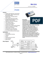 rn-131G-ds