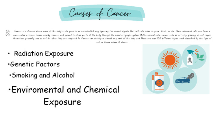 Causes of Cancer | PDF
