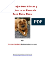 4 Consejos para Educar y Adiestrar A Un Perro de Raza Chow Chow