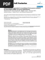 Download Differential Gene Expression in Recombinant Pichia Pastoris by Vijay Jain SN101530401 doc pdf