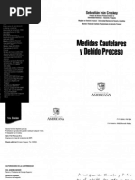 Medidas Cautelares y Debido Proceso - Sebastian Irun Croskey