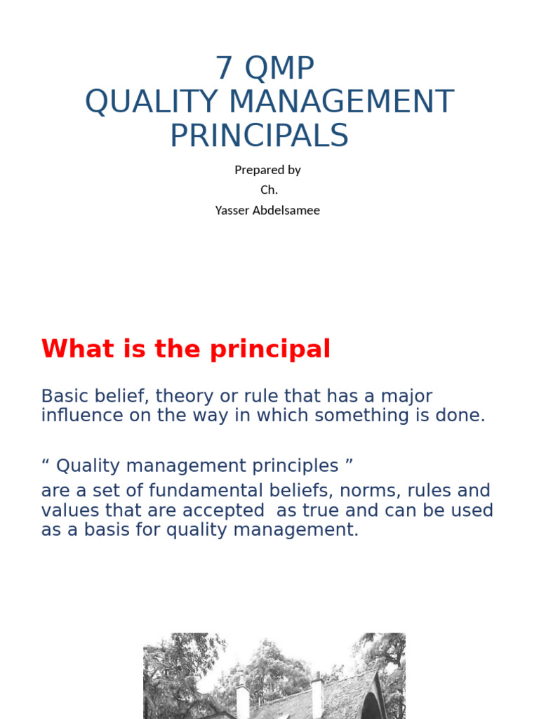7 Quality Principals | PDF