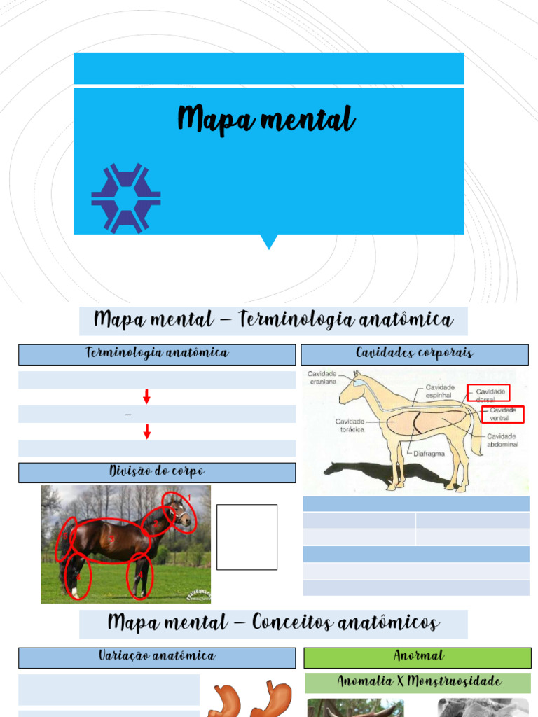 Mapa Mental - Unidade 02 - Agronomia | PDF | Termos anatômicos de ...