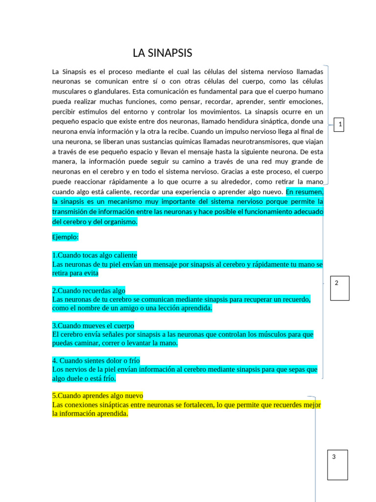 La Sinapsis Div | PDF | Sinapsis | Neurona