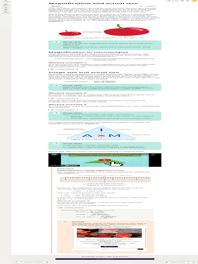 Magnification and Actual Size Cambridge IGCSE™ Biology FE2023 2 | PDF ...
