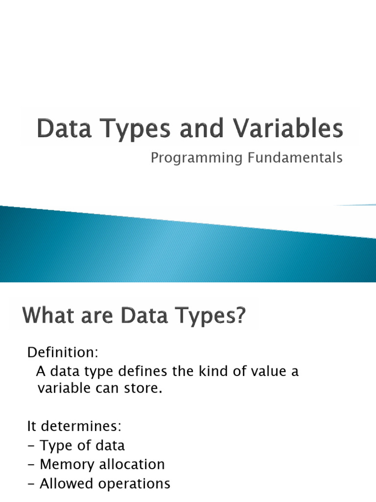 Data Types and Variables Presentation | PDF