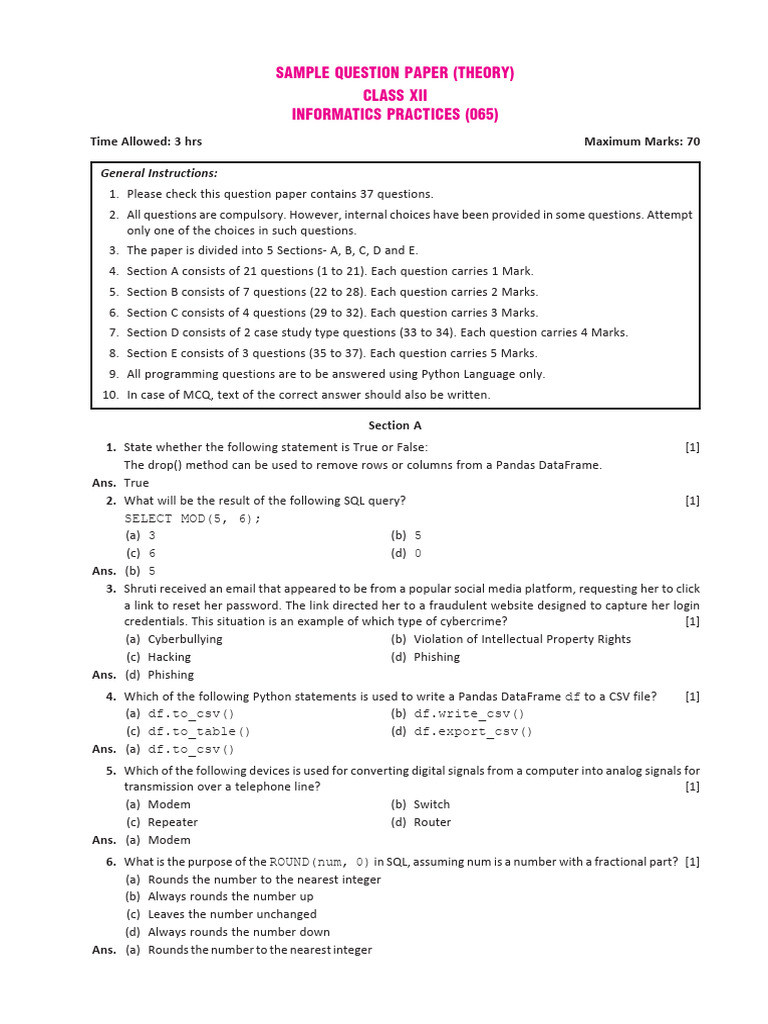 IP12 Sample Paper 2026 | PDF | Computing