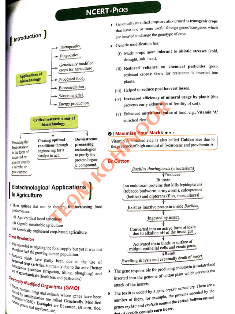 NCe RT | PDF
