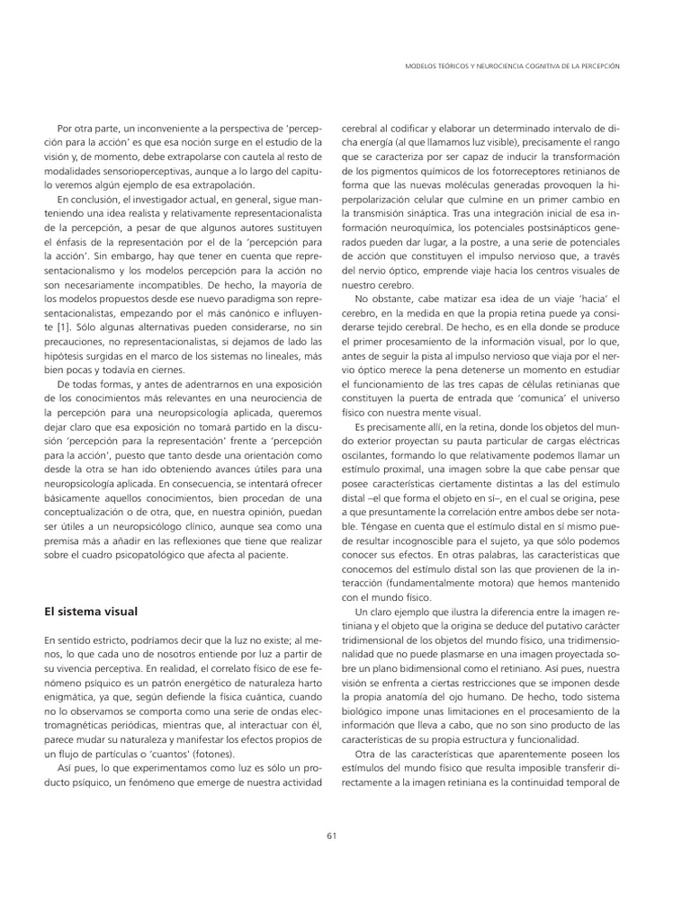 El Sistema Visual | PDF | Percepción visual | Sistema visual