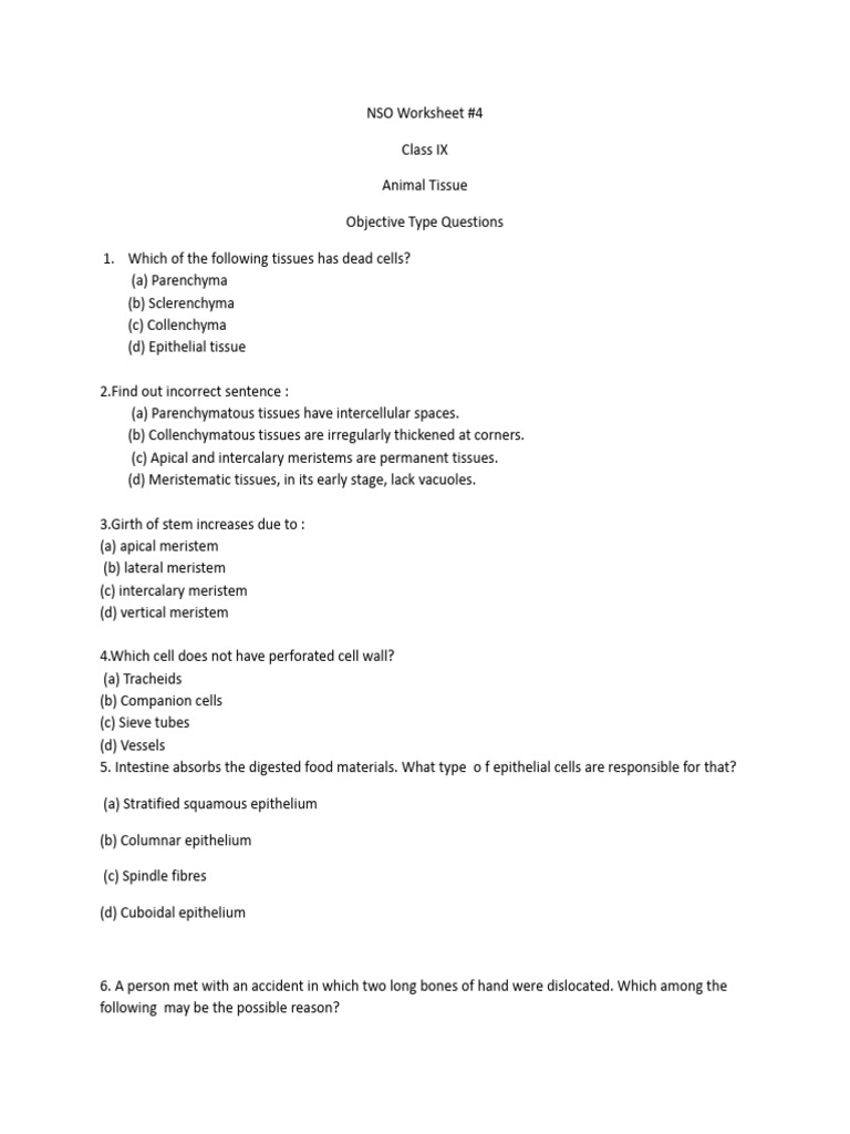NSO Worksheet #4 | PDF | Tissue (Biology) | Muscle