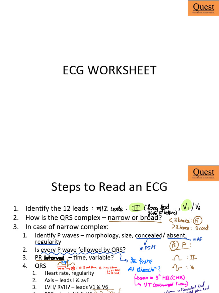 ECG Worksheet | PDF | Electrocardiography | Cardiovascular Physiology