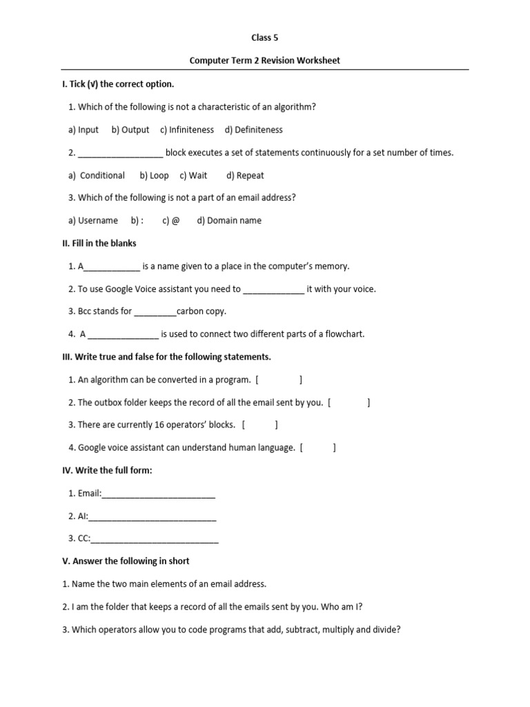 Class5 Computer Worksheet | PDF