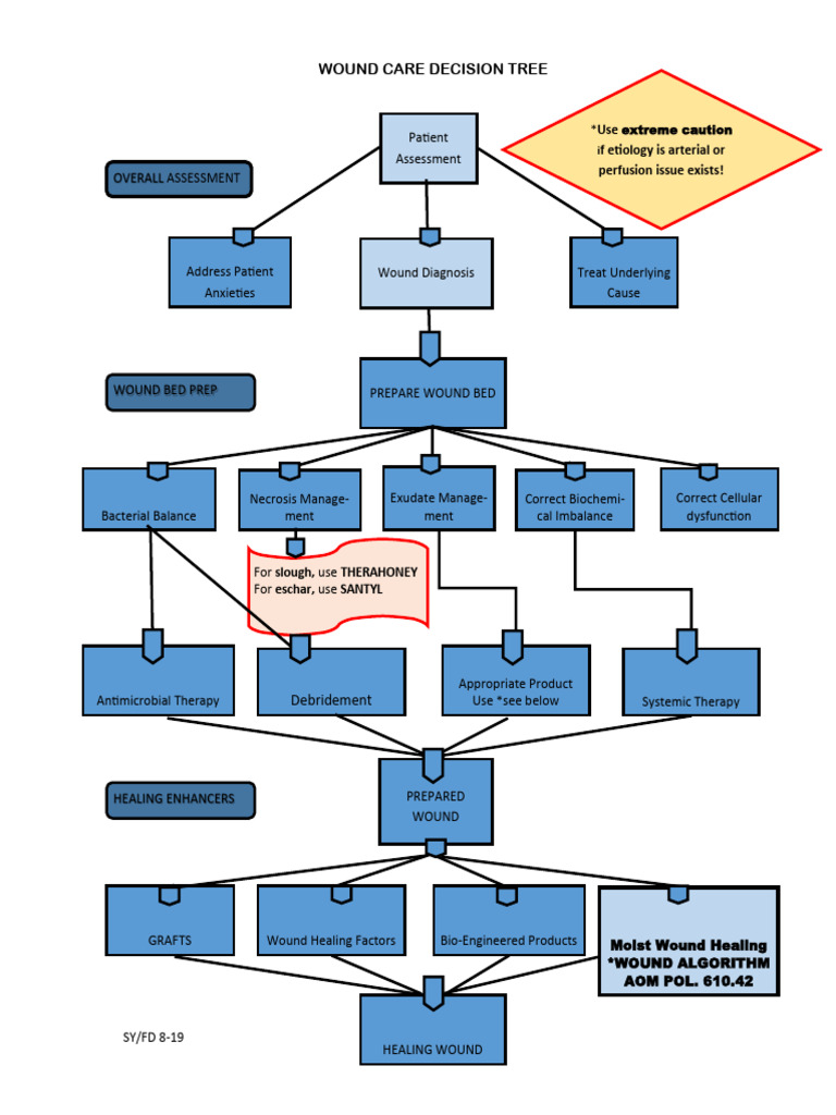 Wound Care Algorithm Final | PDF