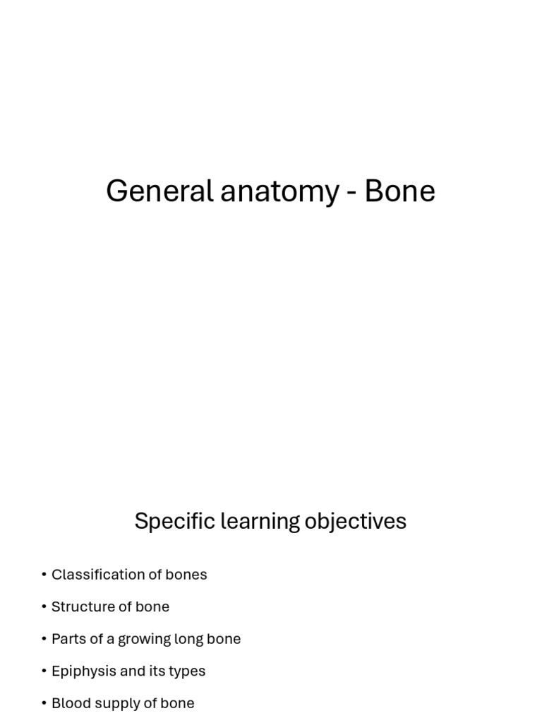 General Anatomy Bone | PDF