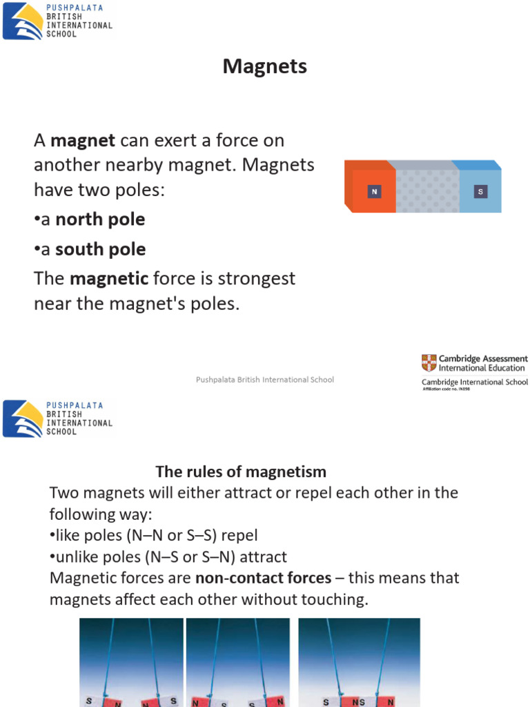 PBIS T3WK4 PPT GR 4 Sci Magnets and Magnetic Materials | PDF