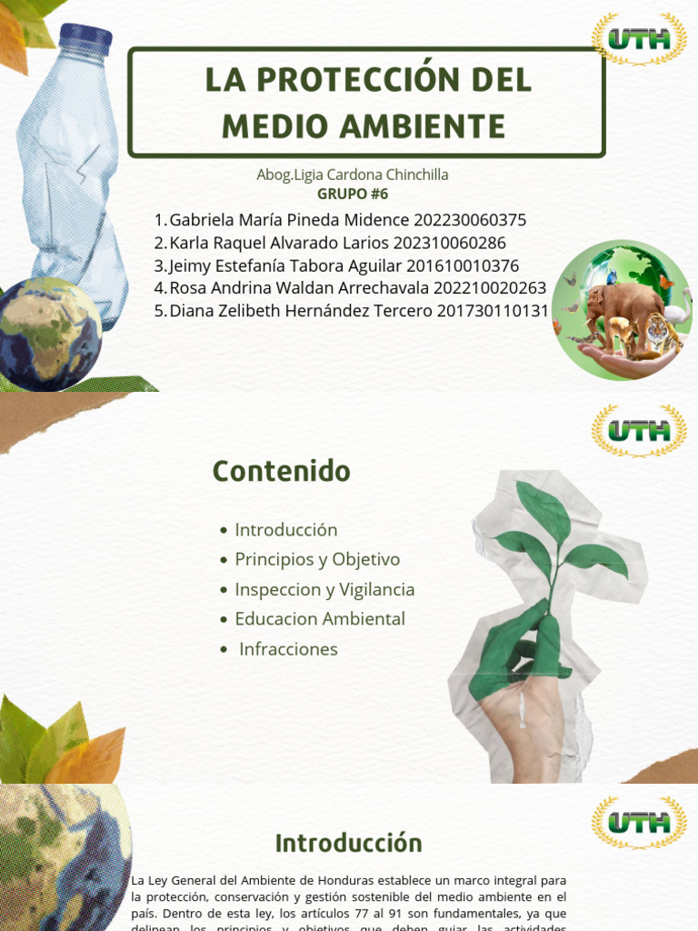 Grupo #6 Proteccion Del Medio Ambiente | PDF | Sustentabilidad ...
