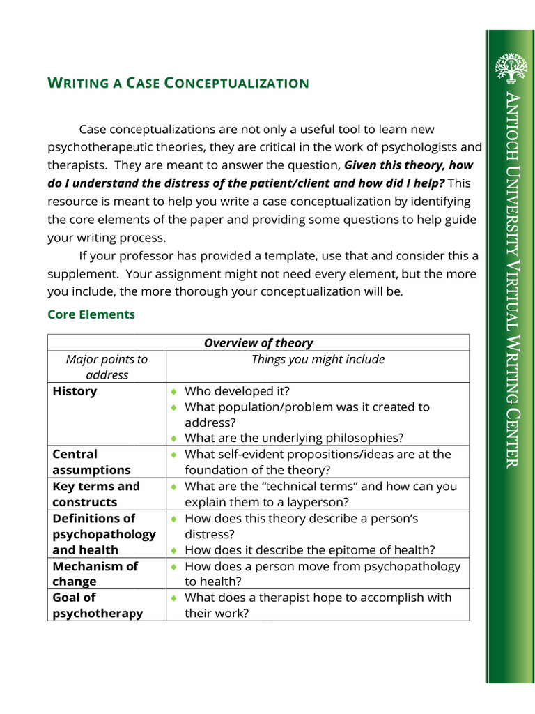 Assignment - Case Conceptualization | PDF