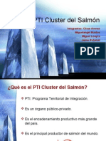PTI Cluster Del Salmón