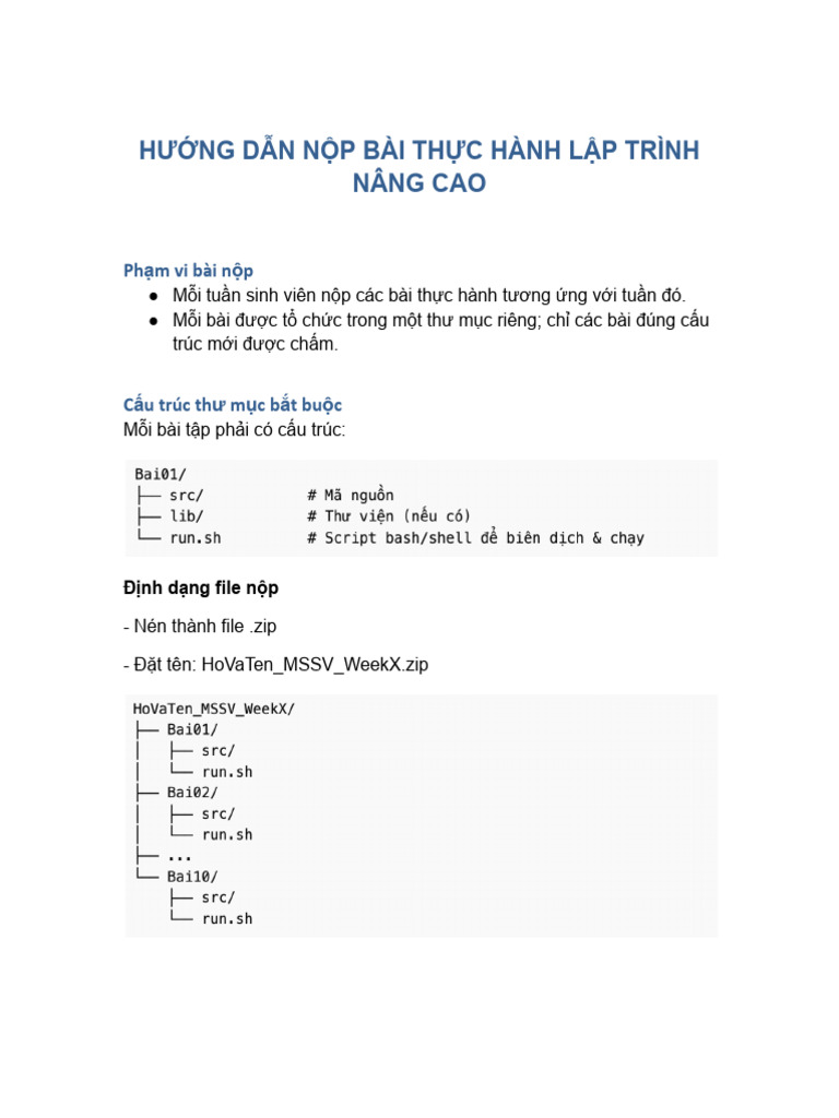 Huong Dan Nop Bai Lap Trinh Nang Cao | PDF