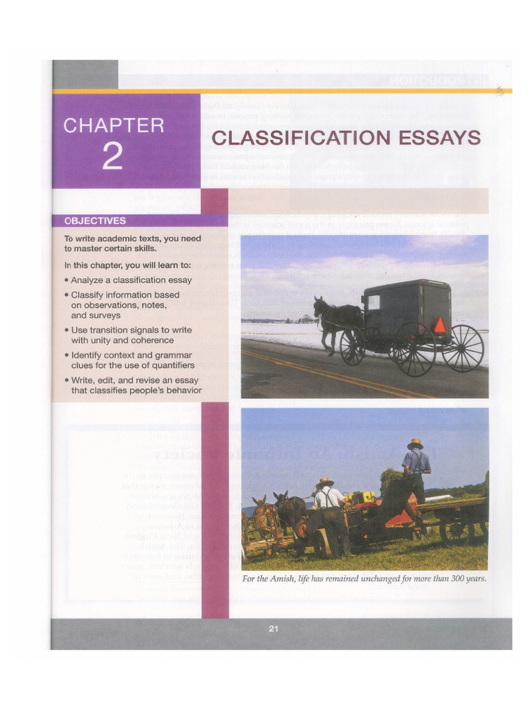 Classification Essay | PDF